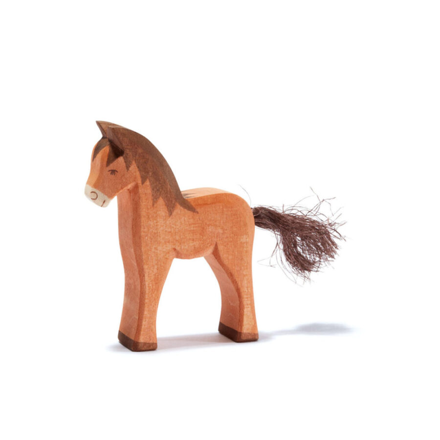 11114 Fohlen Braun E1717313754846.jpg 11114 Fohlen Braun E1717313754846.jpg