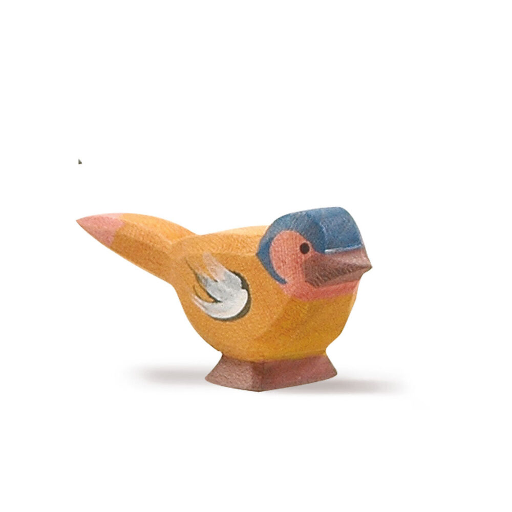 ציפור שיר - Ostheimer