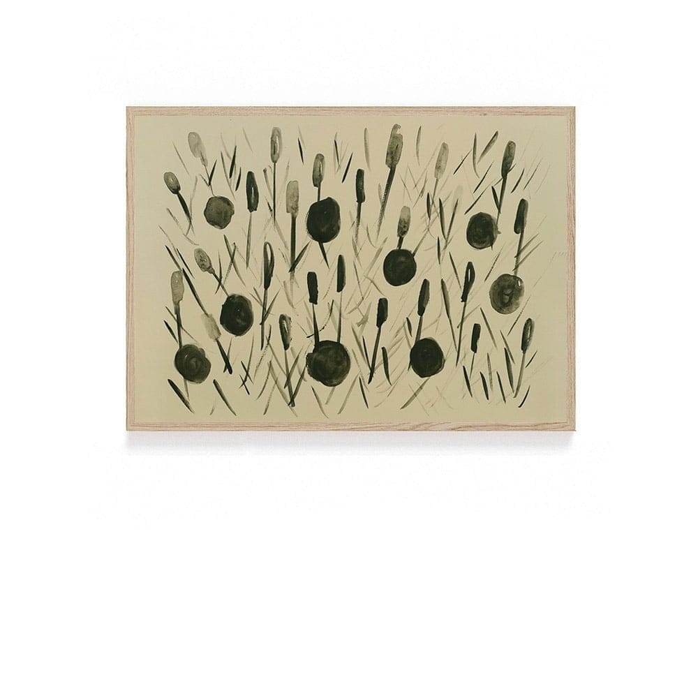 900 Frame Springfield.jpg