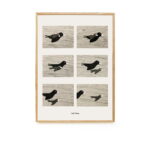 900 50x70 Faith.jpg 900 50x70 Faith.jpg