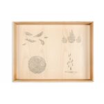 Art 16 135.jpg Art 16 135.jpg