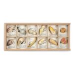 Art 22 232 1.jpg Art 22 232 1.jpg