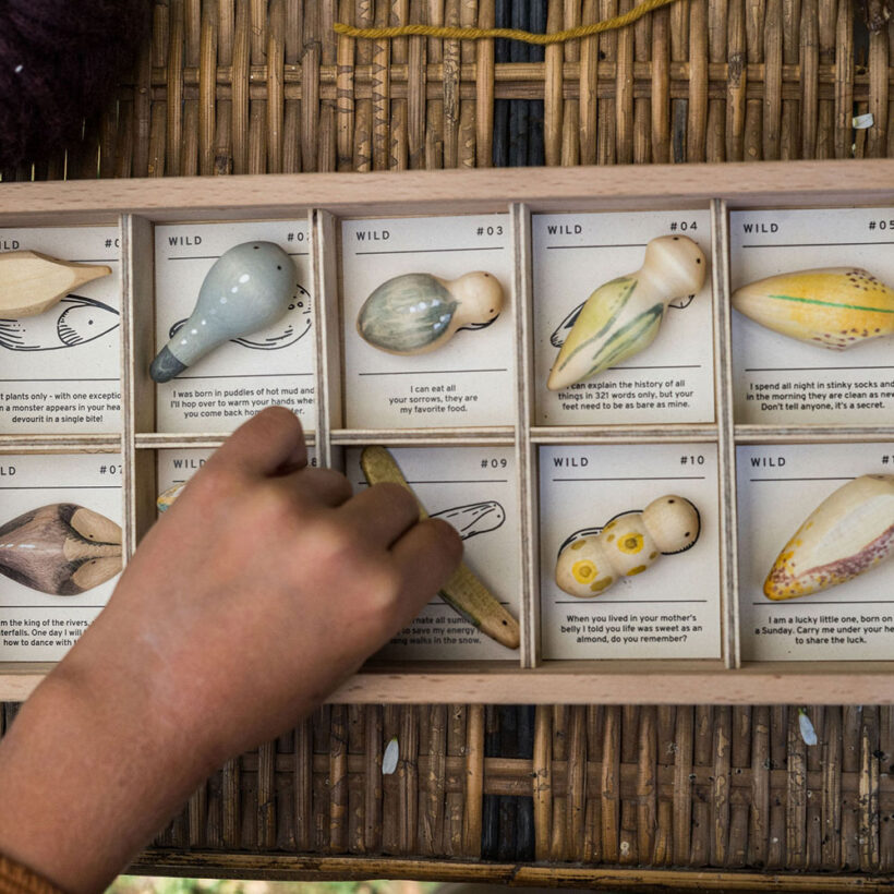 Art 22 232 Wild Mg 0002 Joguines Grapat.jpg