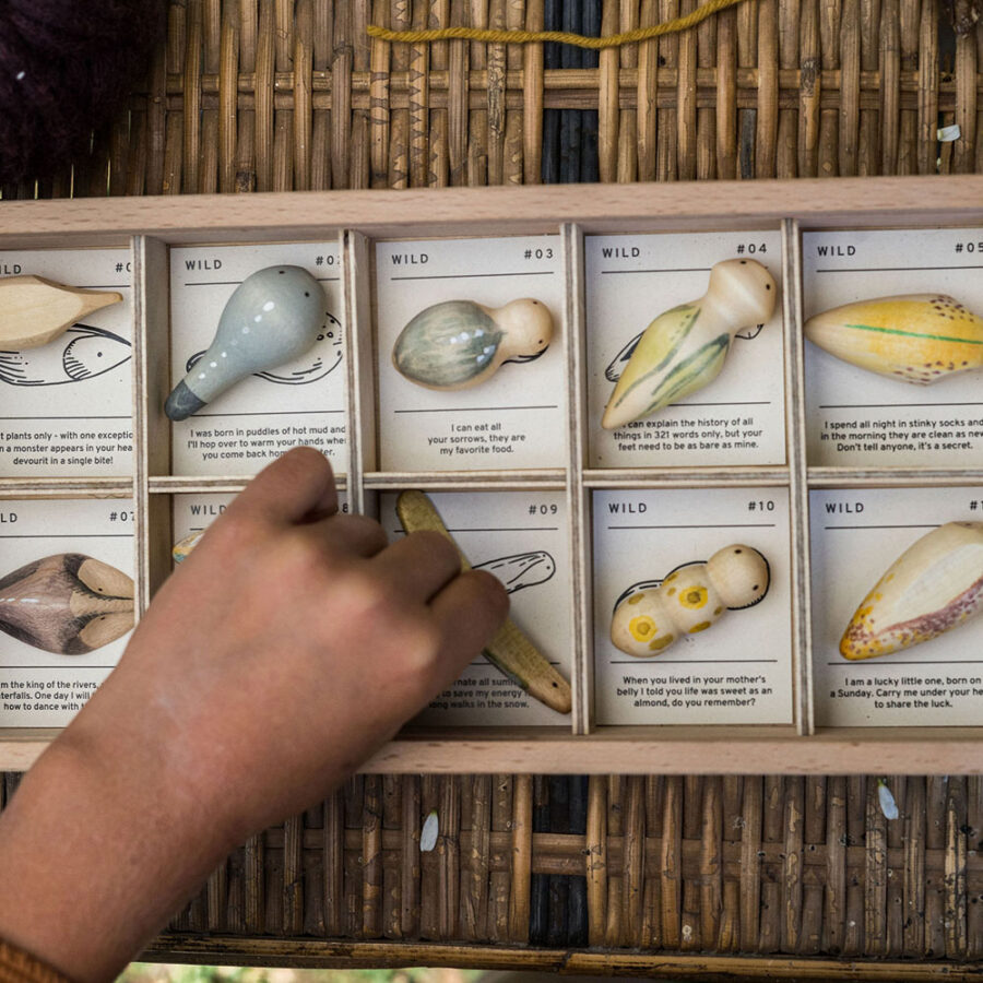 Art 22 232 Wild Mg 0002 Joguines Grapat.jpg Art 22 232 Wild Mg 0002 Joguines Grapat.jpg