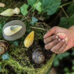 Art 22 232 Wild Mg 0005 Joguines Grapat.jpg Art 22 232 Wild Mg 0005 Joguines Grapat.jpg