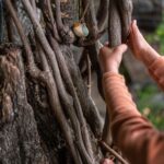 Art 22 236 Hooray Mg 0002 Joguines Grapat Scaled