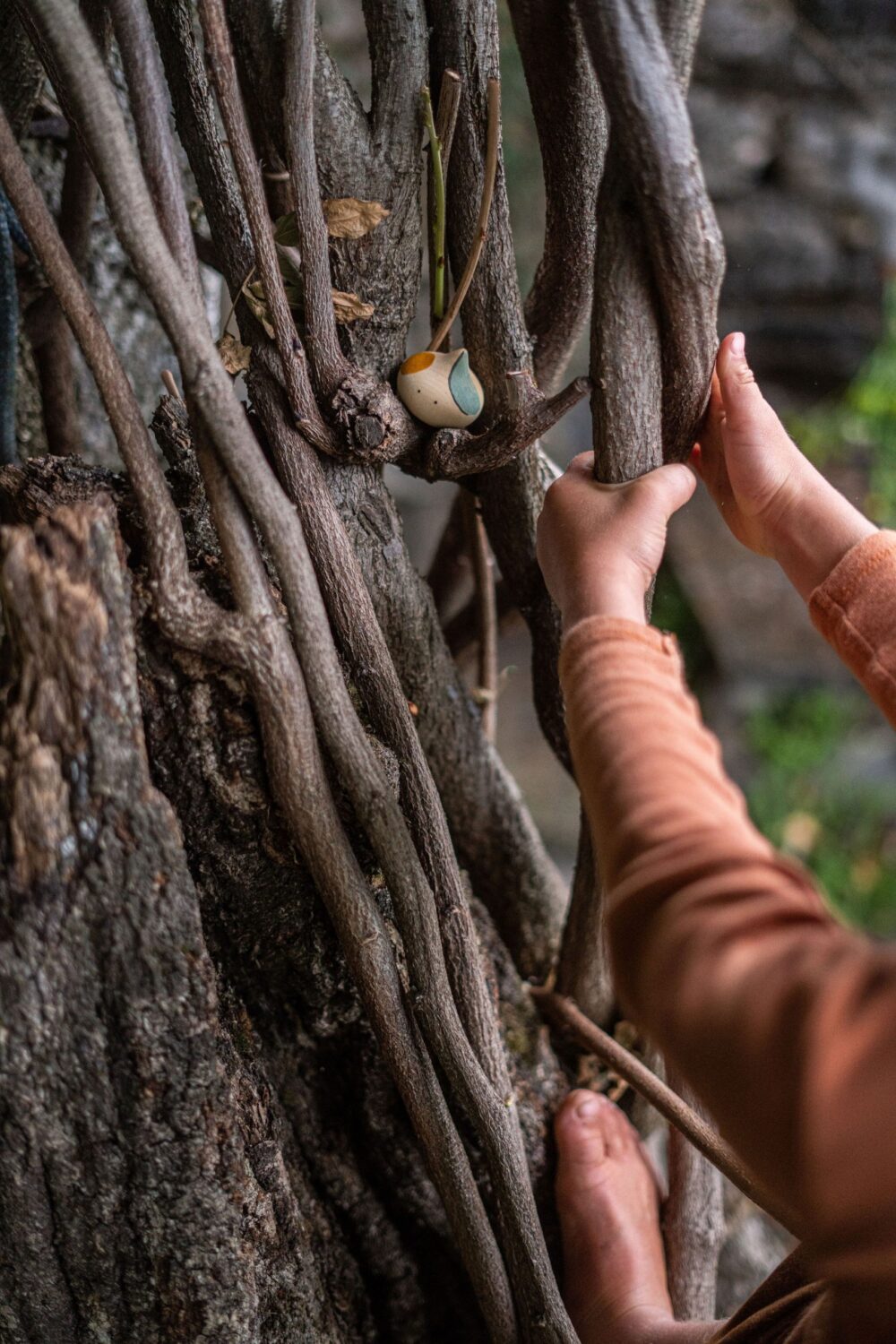 Art 22 236 Hooray Mg 0002 Joguines Grapat Scaled