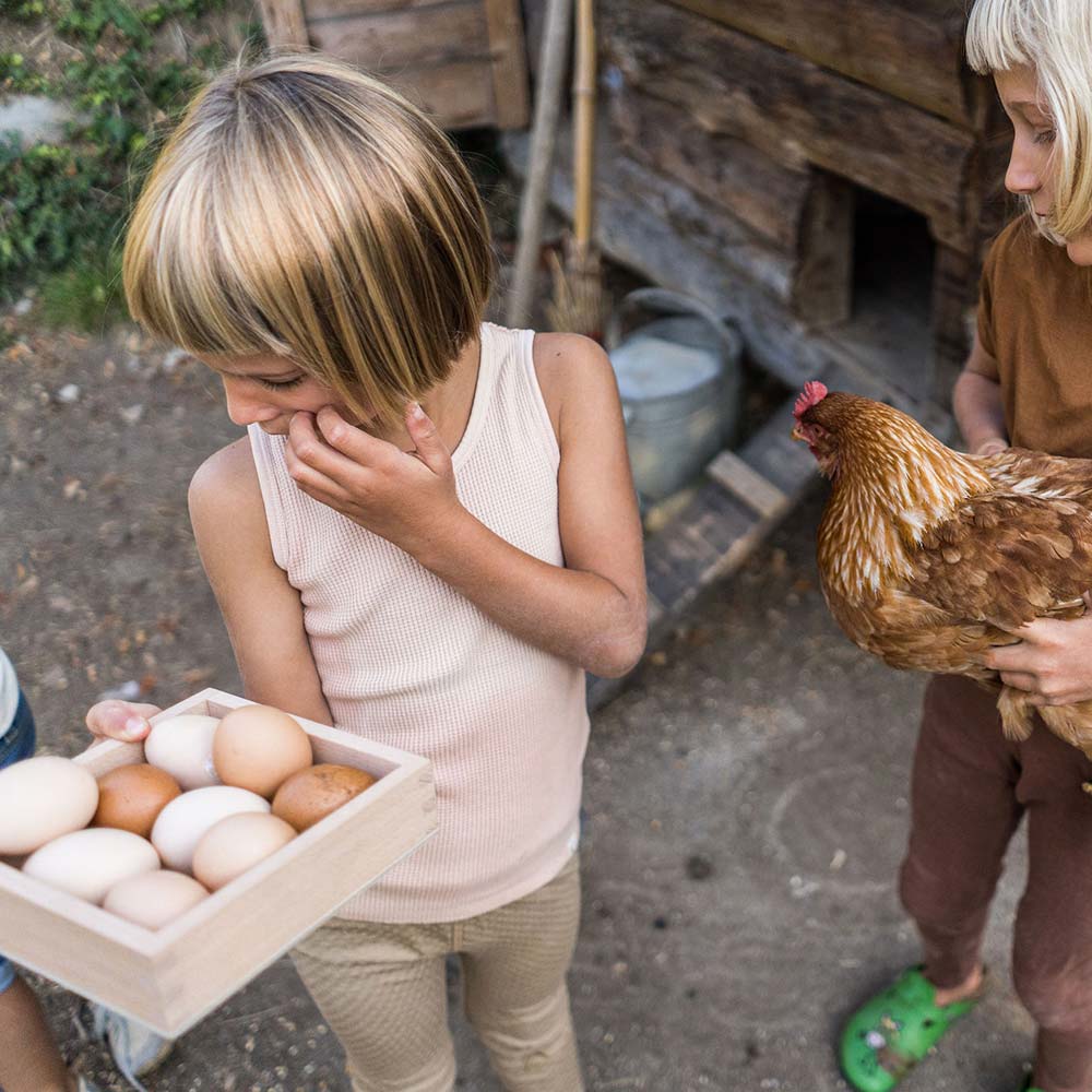 Art 22 239 Storage Box Mg 0006 Joguines Grapat.jpg