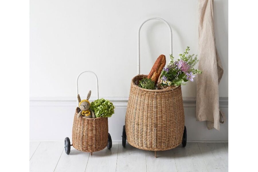 Big Little Luggy Portrait 2.jpg