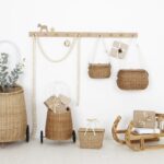 Chari Luggy Piki Ls03 Banner Scaled 2.jpg