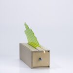 Dsc3424.jpg Dsc3424.jpg