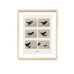 Faith 1.jpg Faith 1.jpg