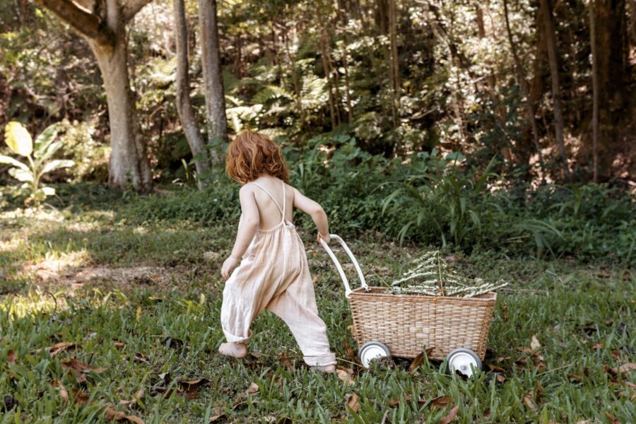 Img 1305hr Scaled 1.jpg Img 1305hr Scaled 1.jpg