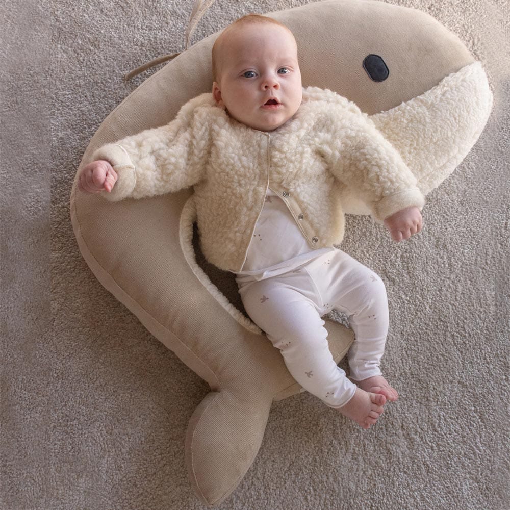 Img 8046.jpg Img 8046.jpg