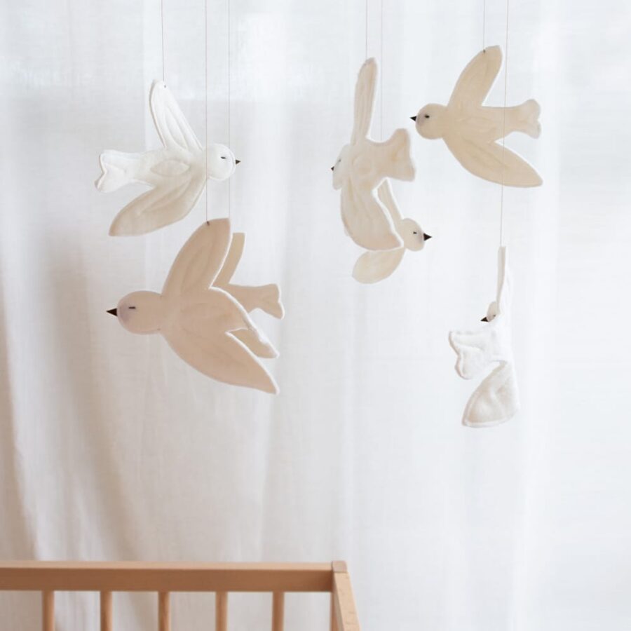 Img 8049 1.jpg Img 8049 1.jpg