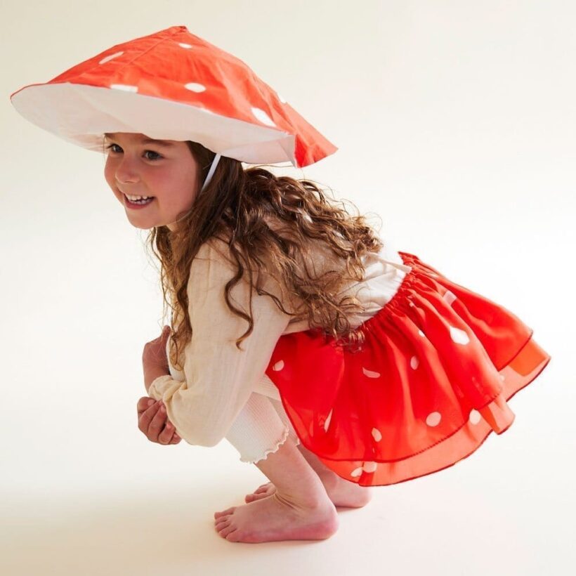 Mushroom Collection 15.jpg