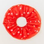 Mushroom Collection 4.jpg Mushroom Collection 4.jpg