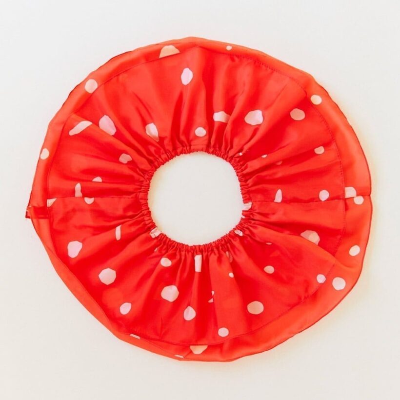 Mushroom Collection 4.jpg