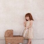 Oe Strolley Ps5.jpg Oe Strolley Ps5.jpg