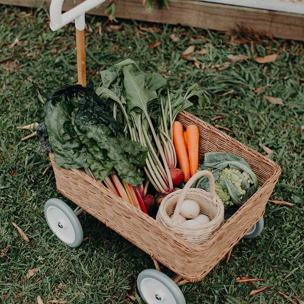 Olli Ella Lifestyle Wonder Wagon Natural 15.jpg Olli Ella Lifestyle Wonder Wagon Natural 15.jpg