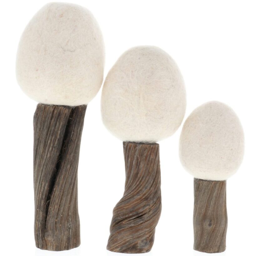 Papoose Earth Trees Winter1 Web Wp176 E1718738681930.jpg