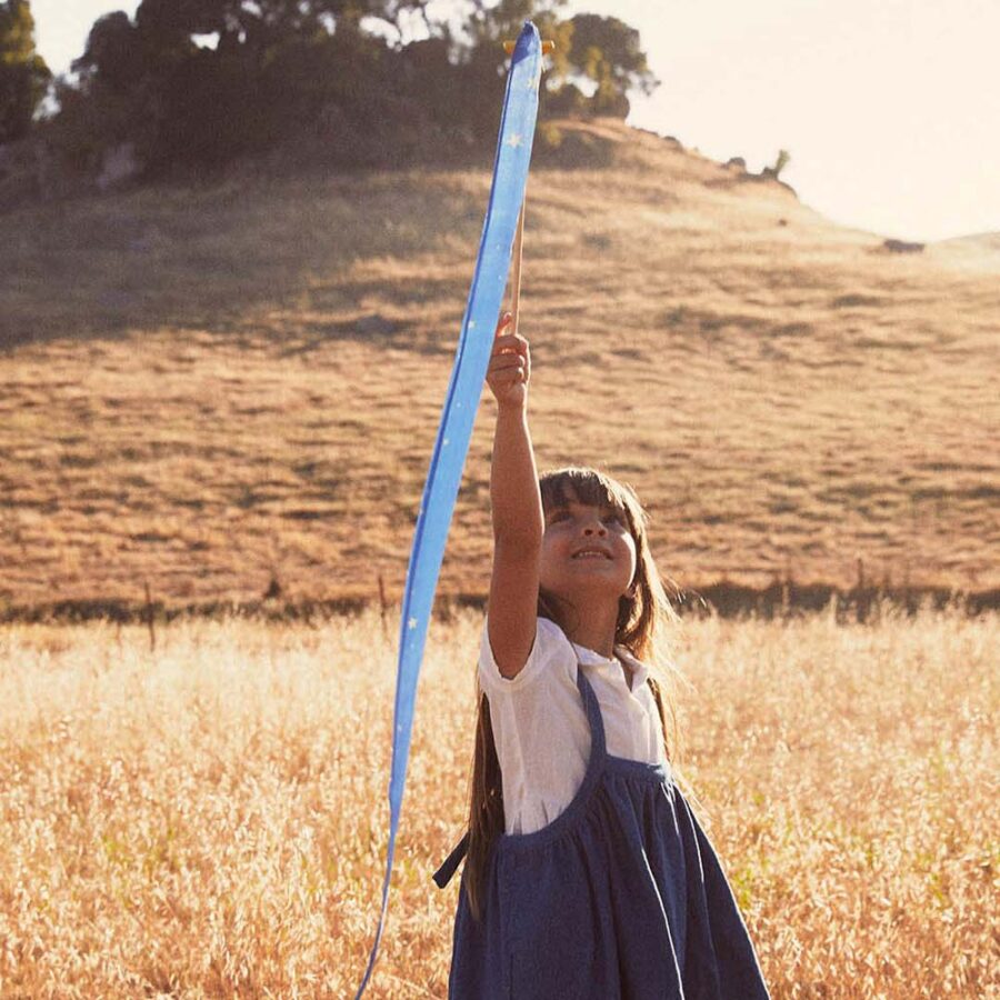 Starrynight 5 Resized.jpg