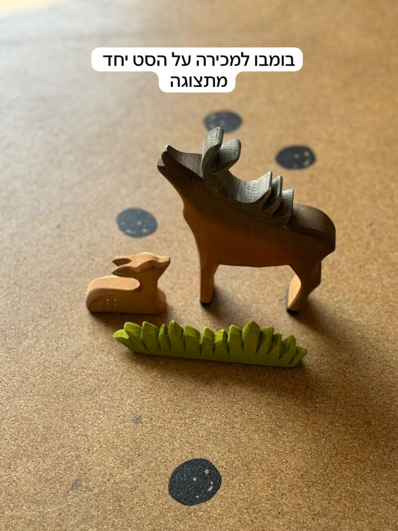 Whatsapp Image 2024 06 24 At 23.32.37 1.jpeg