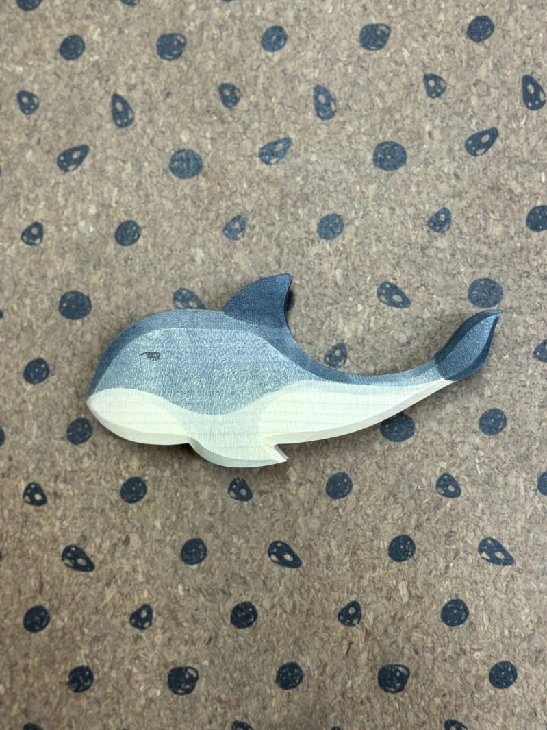 Whatsapp Image 2025 01 08 At 16.28.19 E1736417767348.jpeg