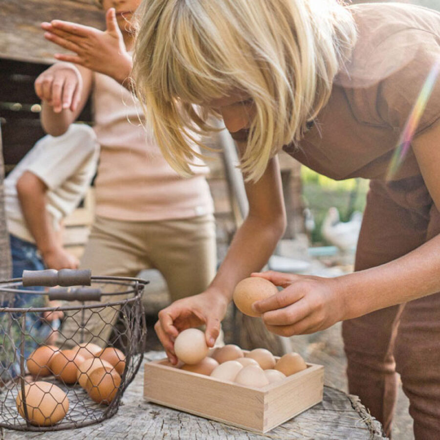 Grapat Storage Box B 1000x1000 1.jpg