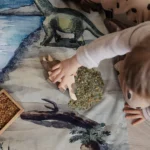 Image000192 Scaled 1 E1715612668321.webp Image000192 Scaled 1 E1715612668321.webp