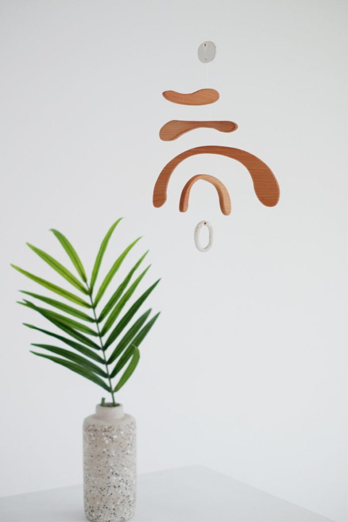 Lily Beech Tree 2.jpg