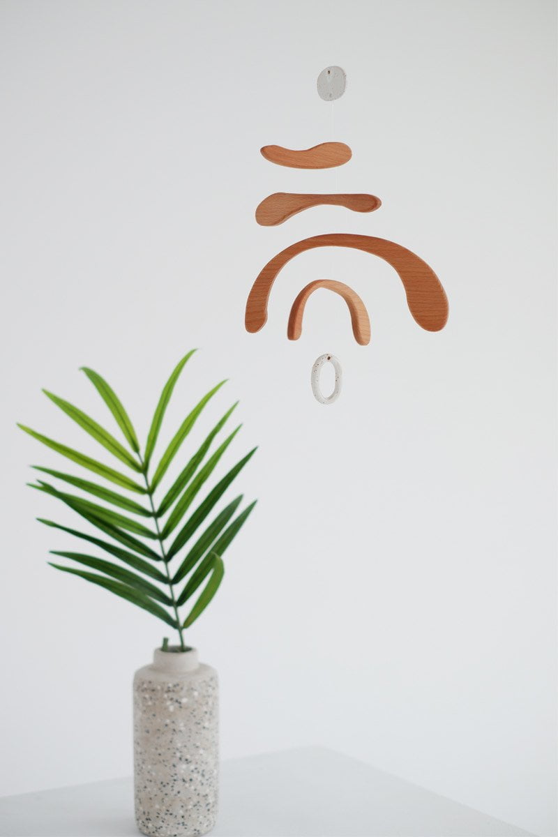 Lily Beech Tree 2.jpg