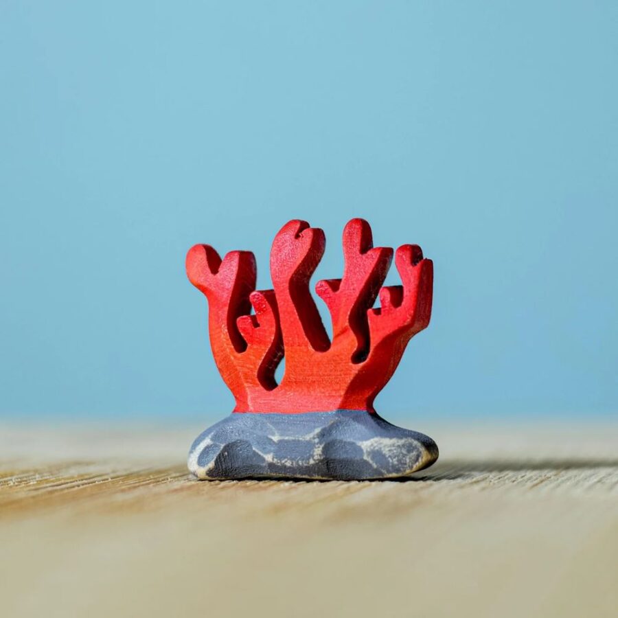 Red Coral5379.jpg Red Coral5379.jpg