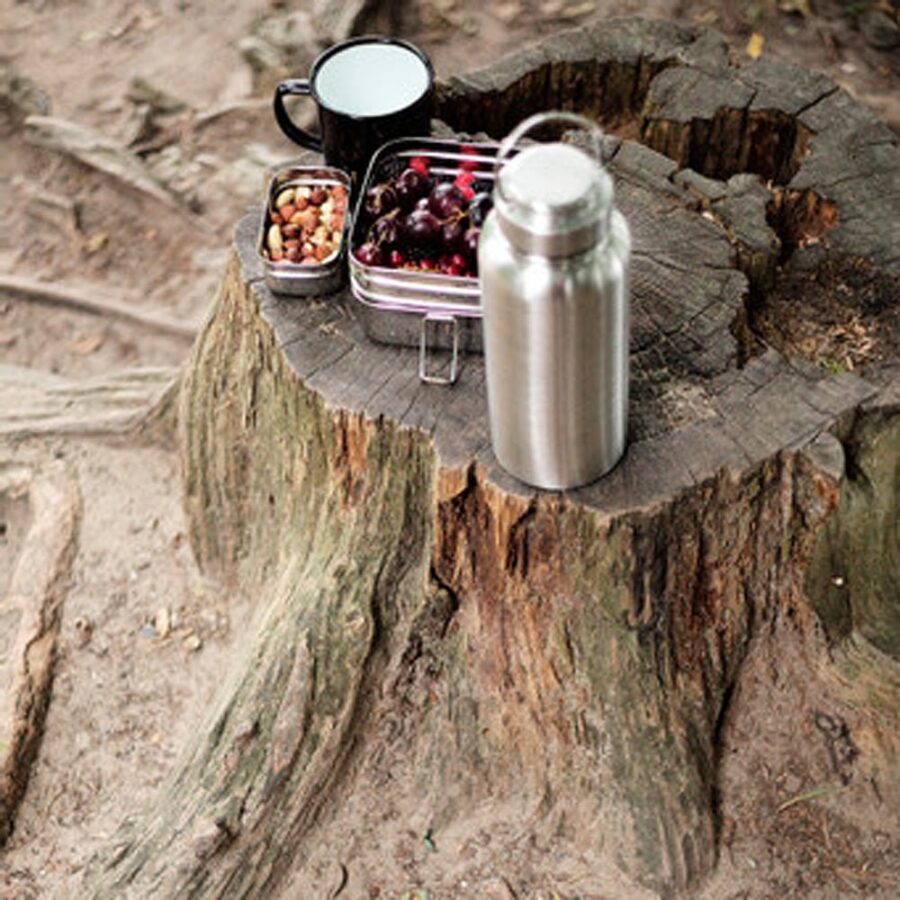 Termi1 1.jpg Termi1 1.jpg