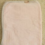 אפרסק עם פס סייג׳.jpg אפרסק עם פס סייג׳.jpg