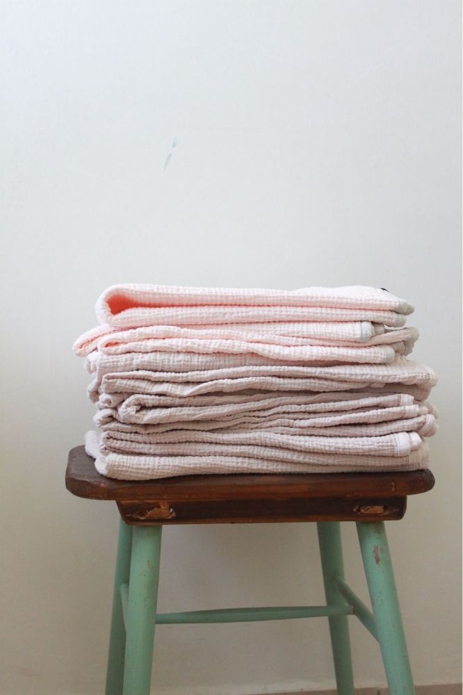 אפרסק עם פס סייג׳1.jpg אפרסק עם פס סייג׳1.jpg