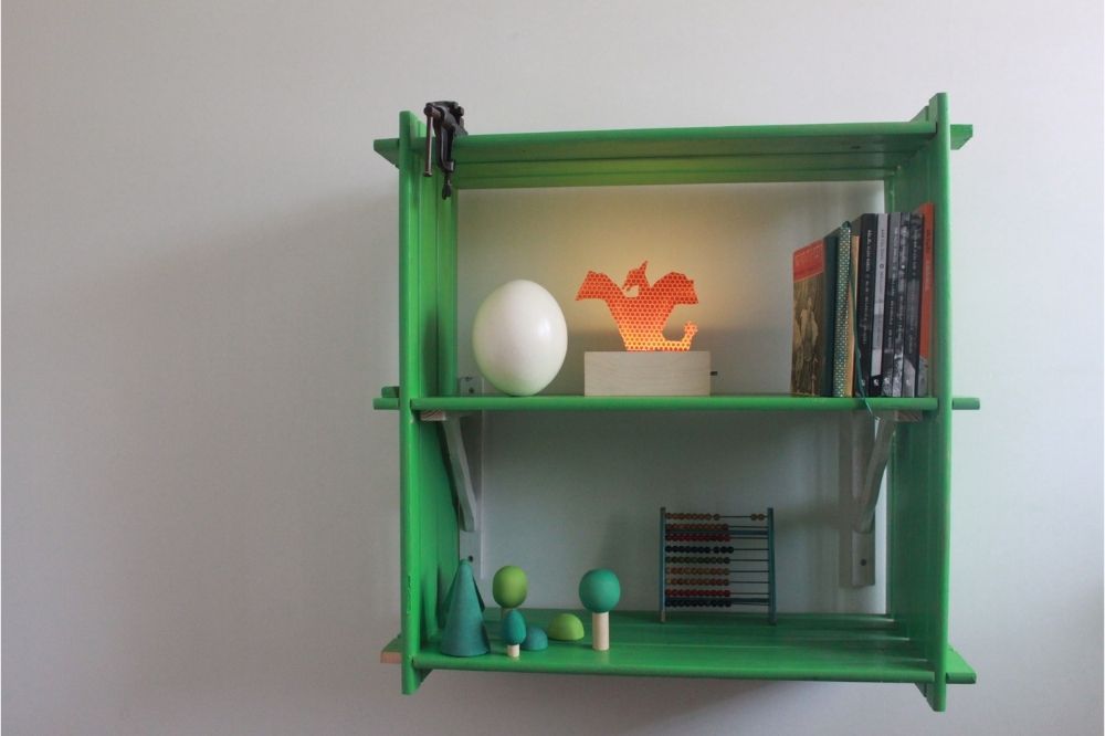 דינוזאור מעופף 2.jpg