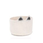 חתלתול טבעי.jpg