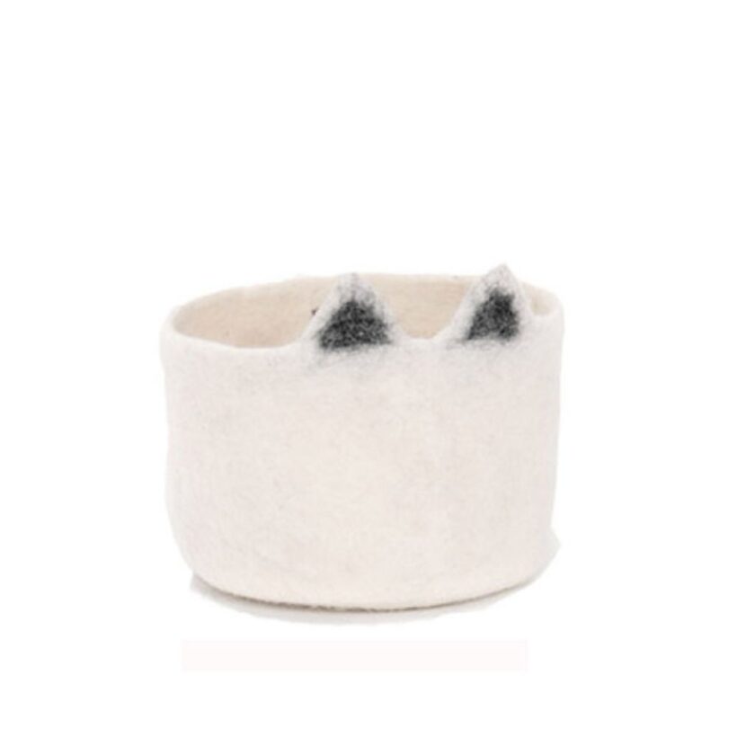 חתלתול טבעי.jpg