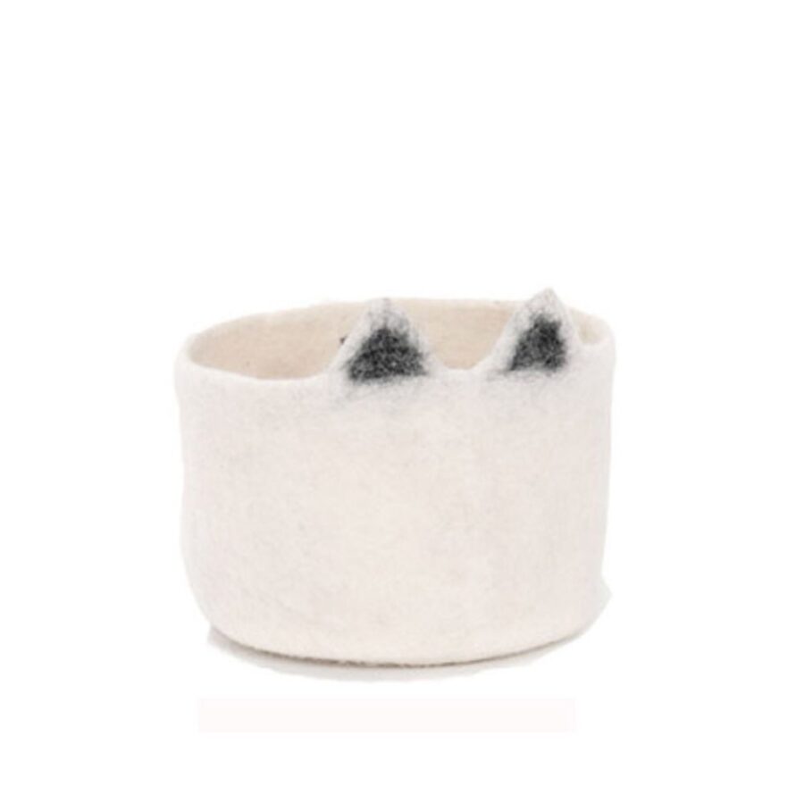 חתלתול טבעי.jpg חתלתול טבעי.jpg