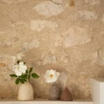 טינקרבלס אווירה.jpg טינקרבלס אווירה.jpg