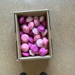 מכירת סאמפלים 11.jpeg