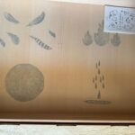 מכירת סאמפלים ספטמבר 24 40.jpeg