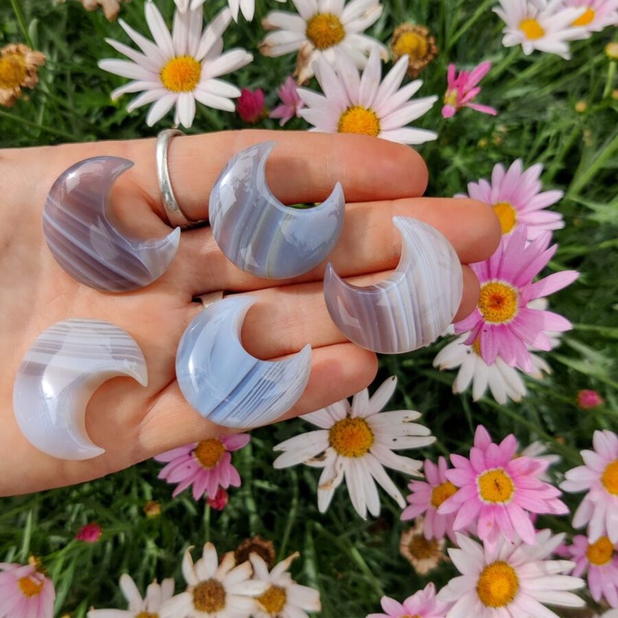 עיצוב ללא שם 2 1.jpg