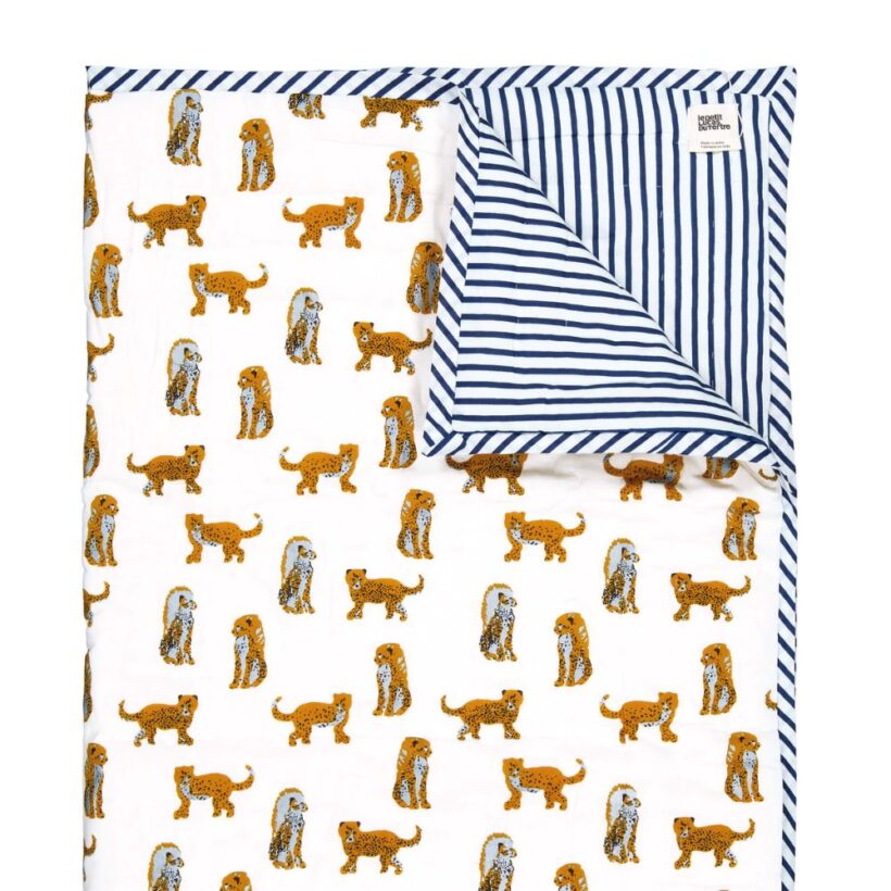 Dont Cry Surprise 8.jpg