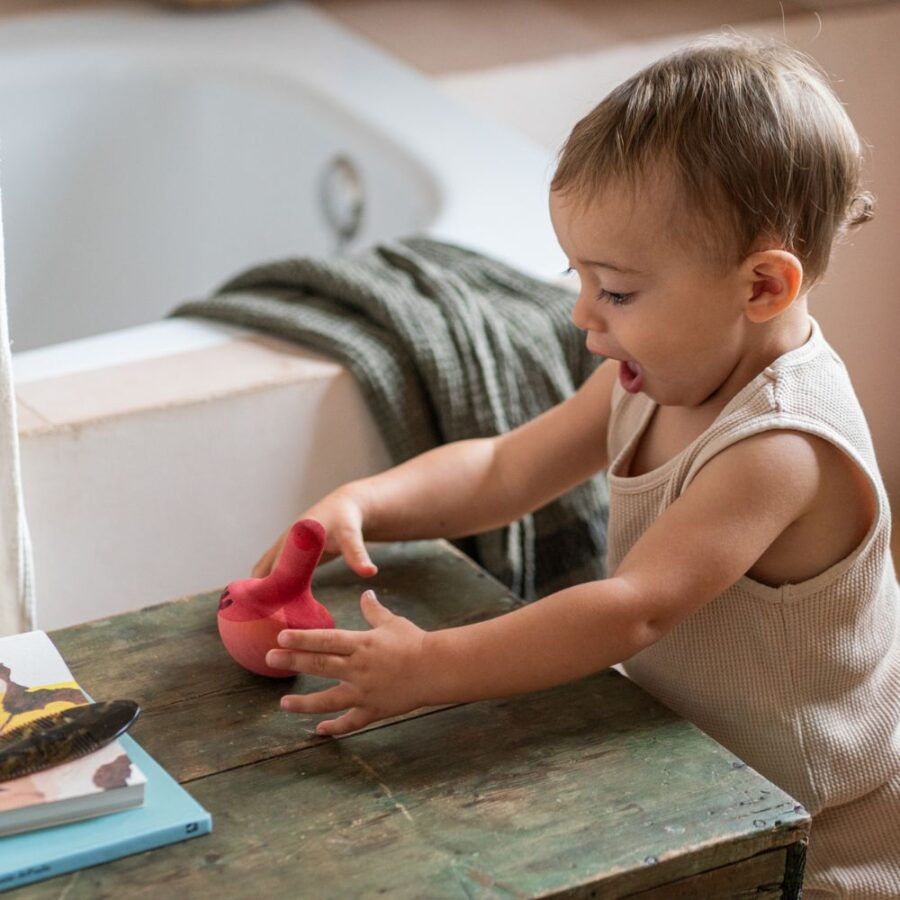 Mellow Pink Bird 3.jpg