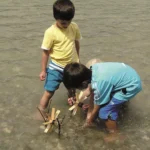 1010 Kraul Small Waterwheel 8