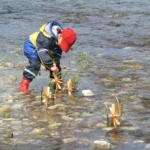 1010 Kraul Small Waterwheel 9