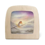 B16 Winter Robin B16 Winter Robin