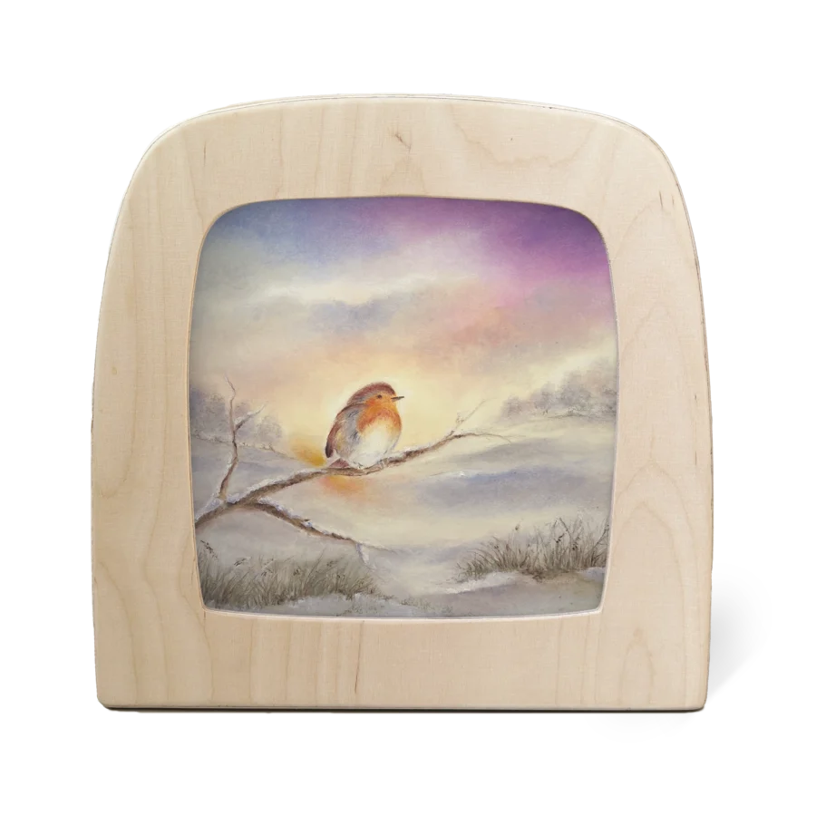 B16 Winter Robin B16 Winter Robin